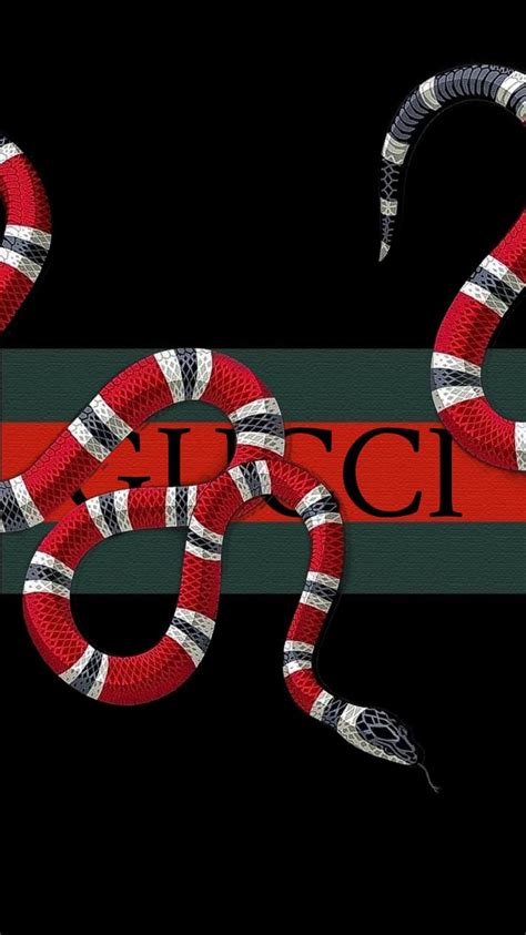 gucci snake supreme wallpaper|Download Floral Gucci And Supreme Logo Wallpaper .